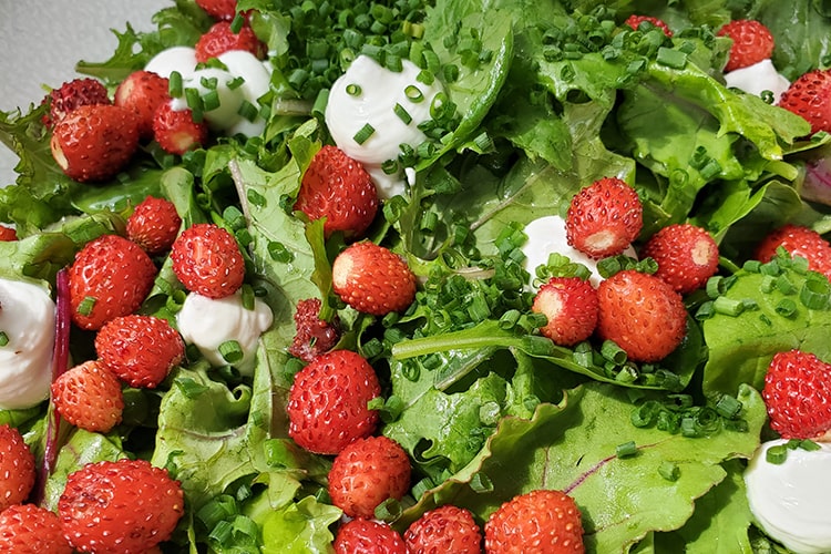 Салат земляника, шпинат и козий сыр