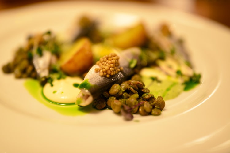 Балтийская салака